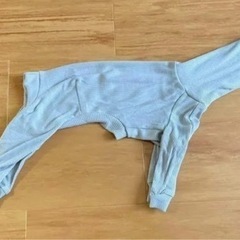 イタリアングレーハウンドの服の画像