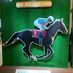 競馬！天皇賞！東京競馬場で観戦しませんか？