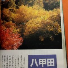 ガイドブック東北の画像