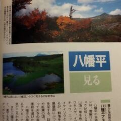 ガイドブック東北の画像