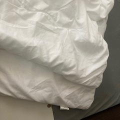 【お譲り確定】２枚合わせ掛布団の画像