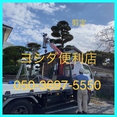 剪定