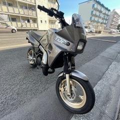 購入者様決定YAMAHA  TDR50