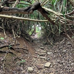 沖縄本島内の観光地巡り！ − 沖縄県