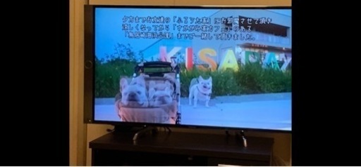パナソニック49インチテレビ＋バッファロー外付けHDD