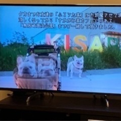 パナソニック49インチテレビ＋バッファロー外付けHDD