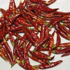 ４年産新米！ひとめぼれ玄米３０キロ