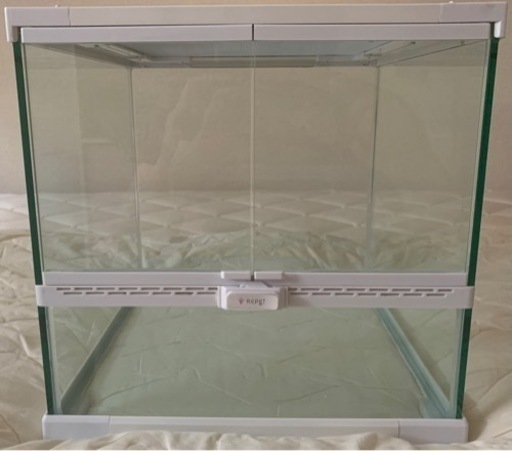 取引中　未使用　爬虫類育成セット