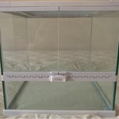 取引中　未使用　爬虫類育成セット