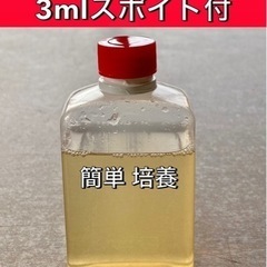 メダカ 針子 稚魚の餌 食いつき抜群                  ビネガーイール 種水 40ml 培養液入 の画像