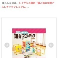 ベビザらス限定「知育アスレチック　プレミアム」