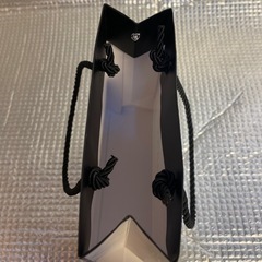 中古　シャネルの紙袋の画像