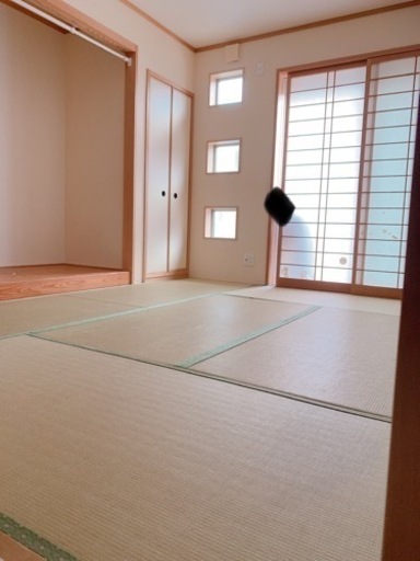 今週中希望　和紙畳　6枚中古美品