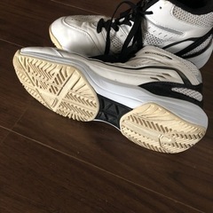 バッシュ25センチの画像