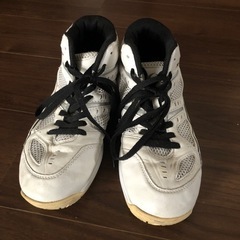 バッシュ25センチの画像