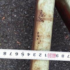 🌸🌺🌻🌸🌺🌻倉庫のドア　資材置き場などの入口　門に🌸🌺🌻🌸🌺🌻の画像