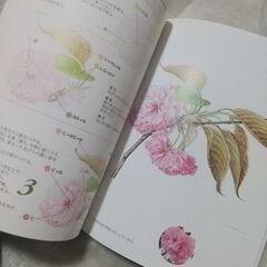 植物画ボタニカルアートの描き方本５冊セット