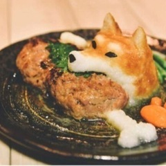 犬友募集　ペットと泊まれる宿温泉など - 友達