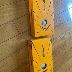 ☆新品☆ゴルフボール　WARBIRD