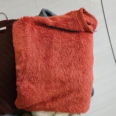 冬物　女性Mサイズ　ユニクロ等の画像