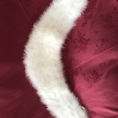 フワフワなファーの画像