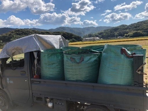 籾殻　約1500L