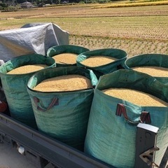 籾殻　約1500L