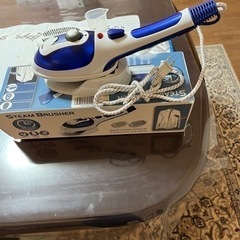 ハンドスチーマー