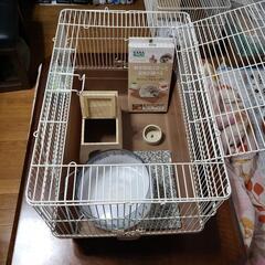 小動物飼育セット(個別での相談も受けます)