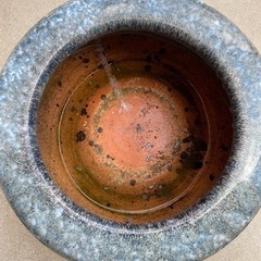 🐟睡蓮鉢3🐟の画像