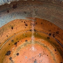 🐟睡蓮鉢3🐟の画像