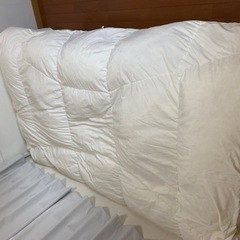 羽毛掛け布団① ニトリ シングルサイズ