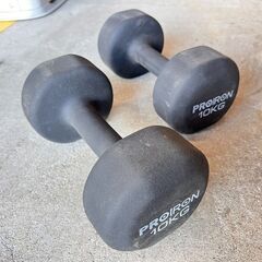 PROIRON ダンベル10kg2個セット ソフトコーティング ...