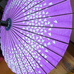 ［お話し中］　おこちゃま用　和傘　紙傘　七五三　お祝い　写真撮影の画像