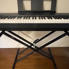 YAMAHA YAMAHA P-45B