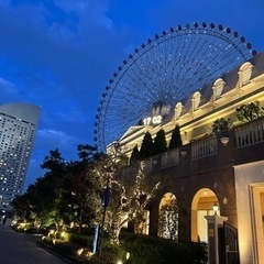 🦩追加メンバー、特に女性募集🦩