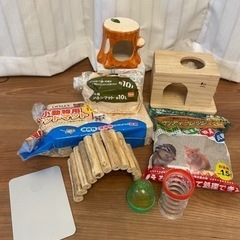 小動物セット
