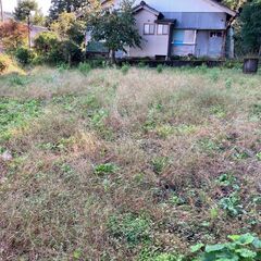 🉐初期費用無料🉐2カ月フリーレント✨庭300㎡✨富山市のペット可戸建のご案内です。 - 不動産