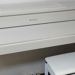 【ROLAND限定品】HP605-GP