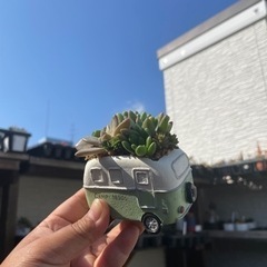 ミニチュア鉢多肉植物寄せ植えワークショップ