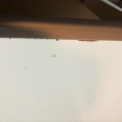 こたつ  長方形の画像