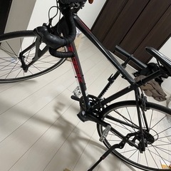 TREK DOMANE AL2