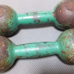 鉄アレイ　5kg×2　中古品
