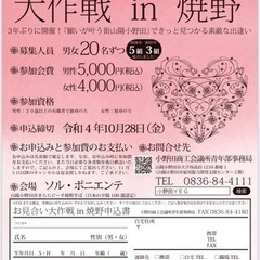 女性急募🏃‍♀️お見合い大作戦in焼野𓂃◌𓈒𓐍
