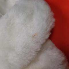 GYMBOREE 100㌢ ファーコートショート『USED』の画像