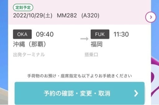 本日22時には削除します！値下げしました！10/29〜10/30 那覇⇆福岡　ピーチ