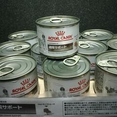 ロイヤルカナン　退院サポート　11缶　犬猫用　流動食に