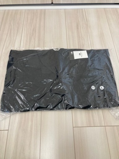 完売しました！ノースフェイス　アノラックパーカー　Lサイズ　ラスト1