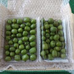 無農薬 さるなし(コクワ) 500g