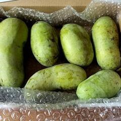 値下 幻の果物ポポー 1kg